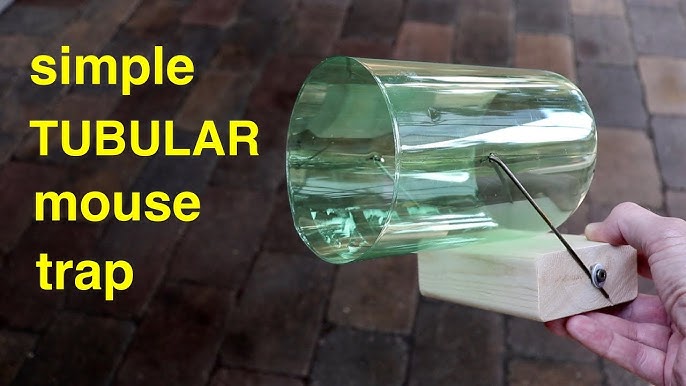 How to make ○ a simple COAT HANGER HUMANE MOUSETRAP (that works