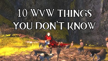 Guild Wars 2: 10 things you don