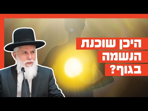 הרב זמיר כהן - היכן שוכנת הנשמה בגוף?