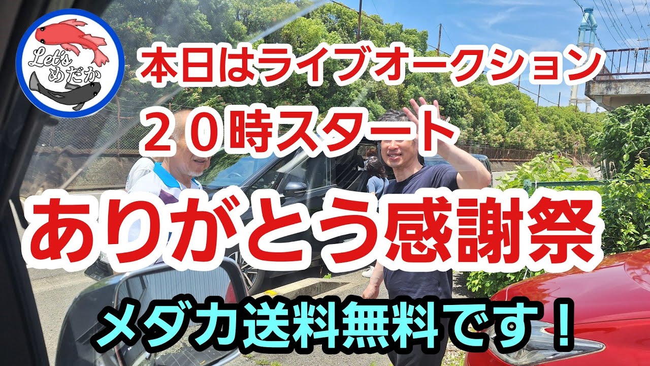 リュウ生き物メダカch《レッツメダカ》 がライブ配信中！