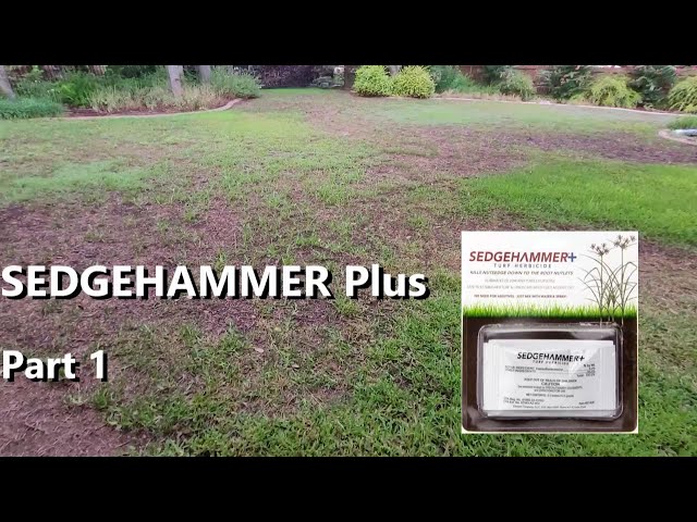 Sedgehammer Plus - Part 1 - YouTube