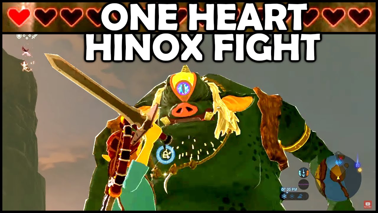 ONE HEART HINOX CHALLENGE | Breath of the Wild | Zelda BotW | Basement