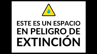 SEO BirdLife desde Doñana, Albufera y Mar Menor: espacios en peligro de extinción