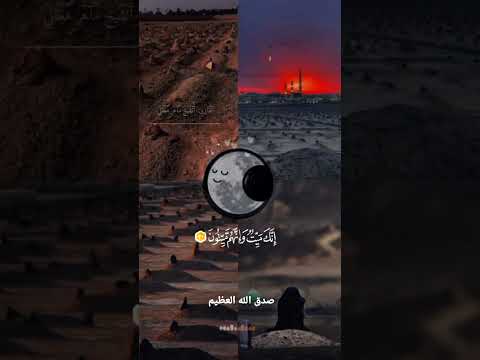 إنك ميت وإنهم ميتون ثم إنكم يوم القيامة عند ربكم تختصمون ماهر المعيقلي