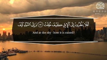 سورة الغاشية - القارئ محمد كمال هاشم ❤️