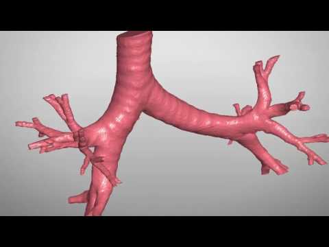 Video: Mestské Laboratórium