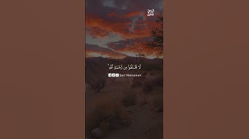 اجمل تلاوة ممكن تسمعها 🎧💚 #قرآن #مواعظ_دينية #تلاوات #تلاوة_خاشعة #تلاوة_هادئة