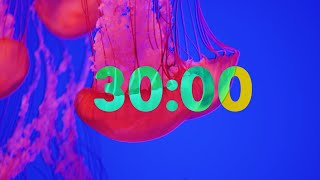 30 Minute Beautiful Jellyfish Timer with Soothing Music screenshot 5