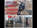 Digita 51    piaggio  mbk  yamaha   digita 51