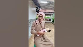 Stop being noisy 🤫