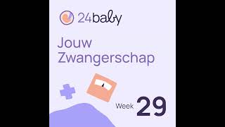 Download Lagu 29 weken zwanger: alles over de aanstaande vader en meemoeder MP3
