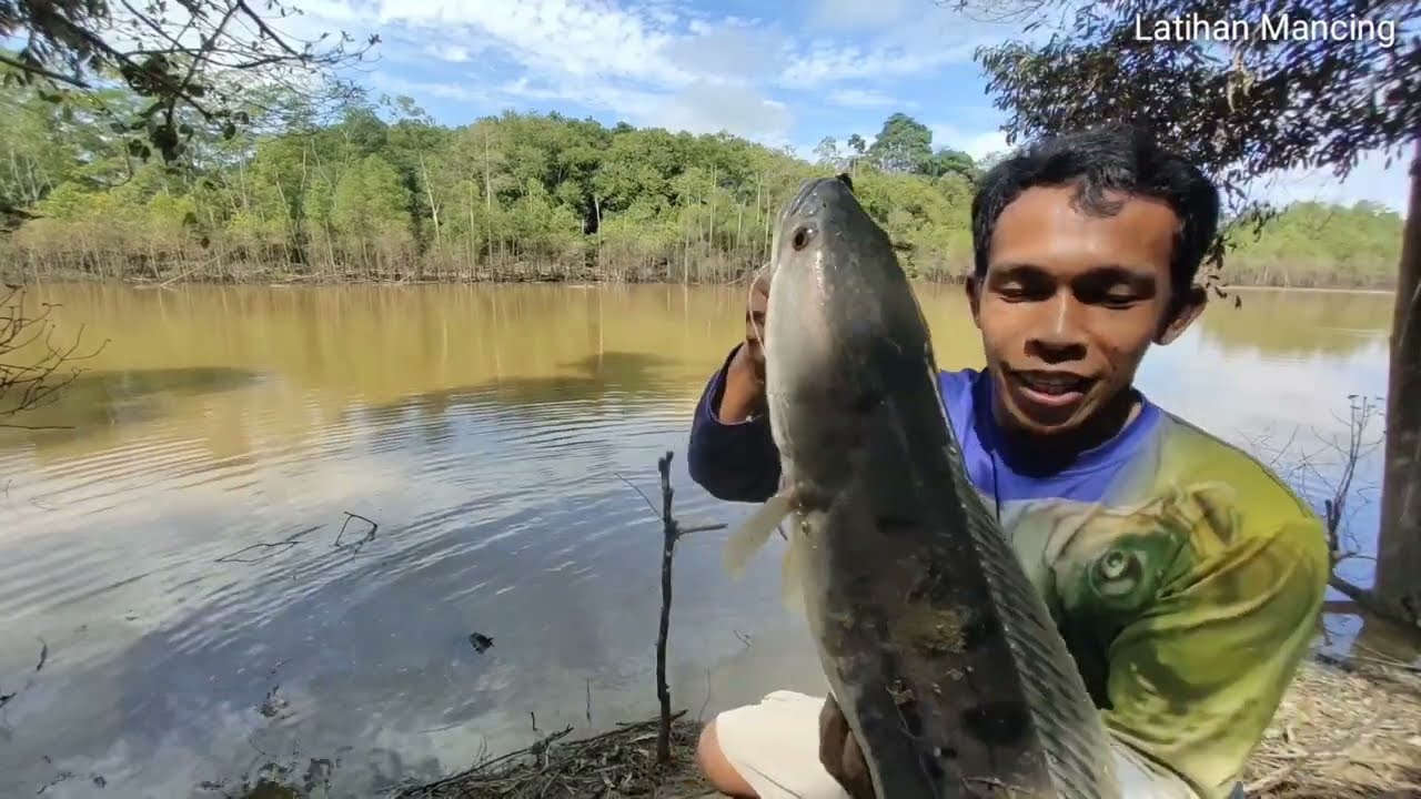 Ledakan maut !!! Saat mancing ikan toman besar