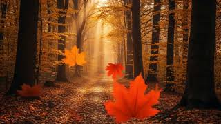 Autumn Forest Ambience 🍂 – Cozy Fall Atmosphere with Peaceful Piano Music for Relax, Study & Focus screenshot 4