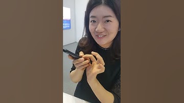 Traductor portátil de chino a cualquier idioma y vice versa