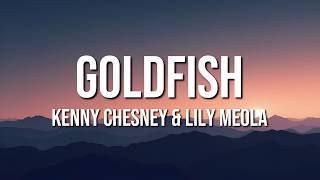 Kenny Chesney & Lily Meola - Goldfish (Lyrics)