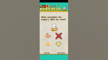 Mr brain level 53 What resembles the puppy