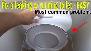 How to fix a leaking running toilet  most common problem