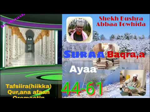 Tafsiira Doctar Shek Bushra Dawadhatii Yadaa Kessan Nuuf Gumacha