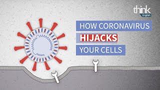 How Coronavirus Hijacks Your Cells | Think English