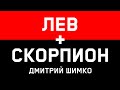 ЛЕВ+СКОРПИОН - Совместимость - Астротиполог Дмитрий Шимко