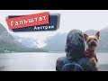 Гальштат — маленький австрийский рай / Woof travel (Путешествия с собакой на автомобиле)