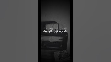 تلاوة جميلة بصوت الشيخ علي جابر رحمة الله.