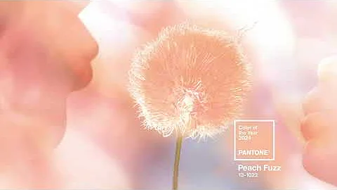 PANTONE 13-1023 Peach Fuzz, the Pantone Color of the Year 2024 - DayDayNews