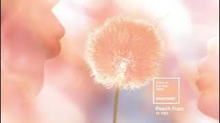 PANTONE 13-1023 Peach Fuzz, the Pantone Color of the Year 2024