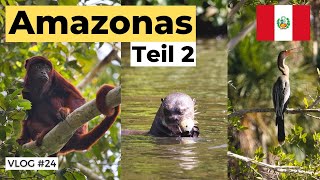 Lake Sandoval Tambopata - 4 Tage Amazonas (Teil 2) | Peru Vlog #24