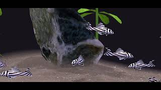 Fishfarm 3 Freshwater Aquarium Lv 130 Zebra Pleco
