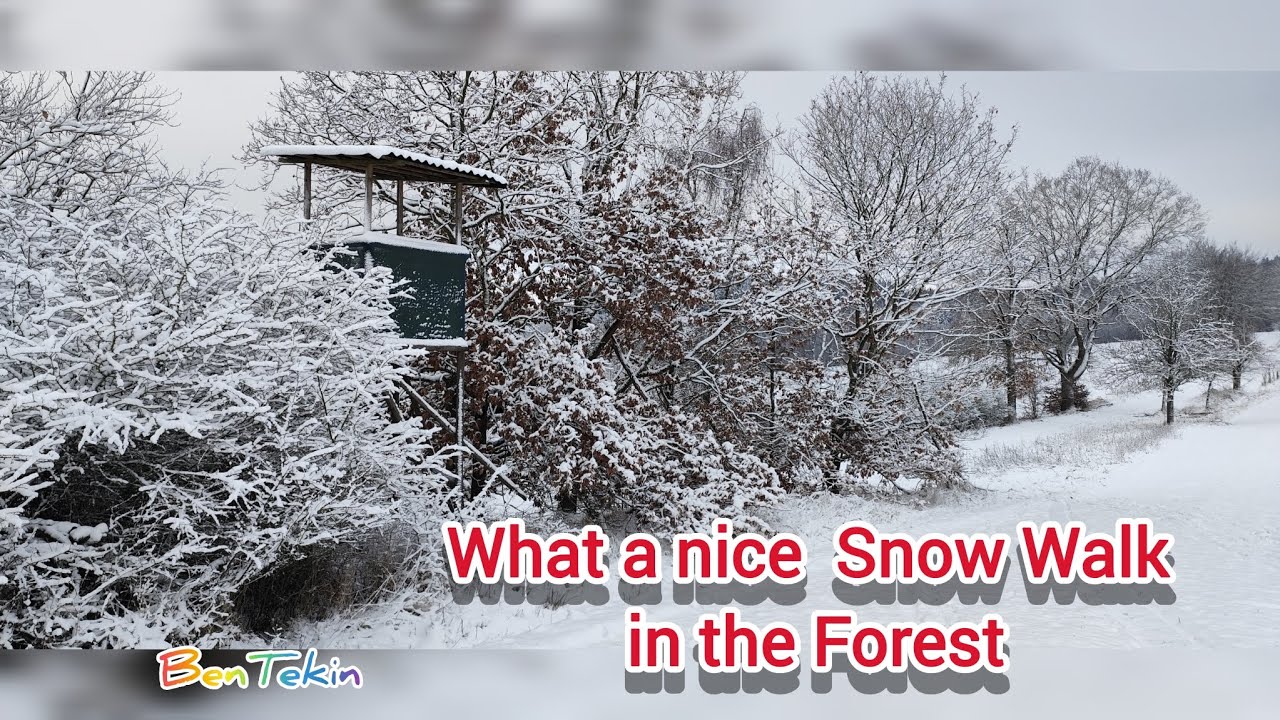 ❄️What a Beautiful Snow Walk in the Forest ❄️ Schnee im Wald ❄️ Almanya'da karlı ormanda yürüyüş ❄️
