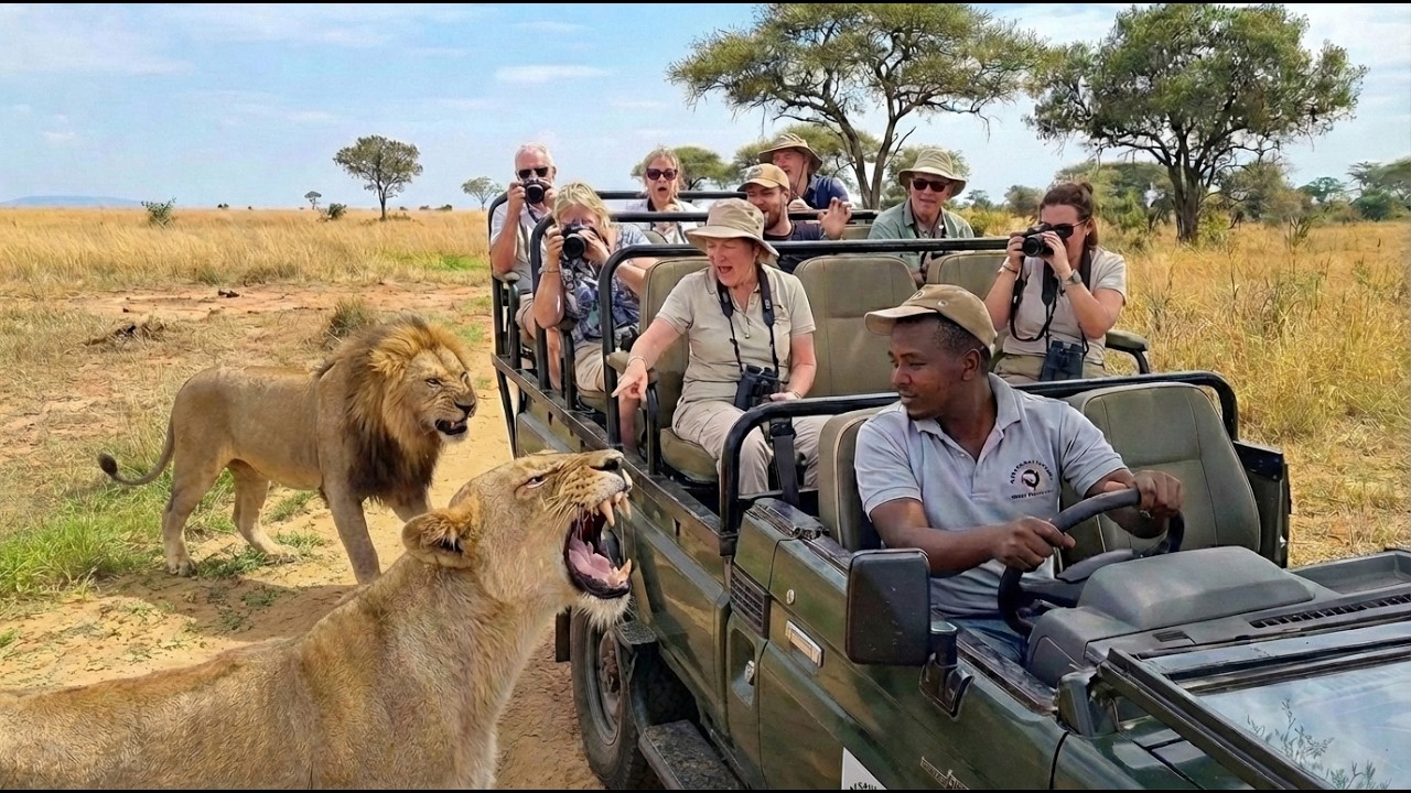 Um em Um Milhão: Momentos Raros e Extraordinários da Vida Selvagem