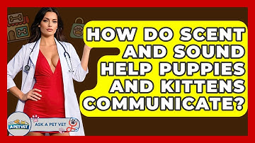 How Do Scent And Sound Help Puppies And Kittens Communicate? - Ask A Pet Vet