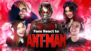 They loved this one!!! FIRST TIME watching Ant-Man (2015) Reaction Mashup