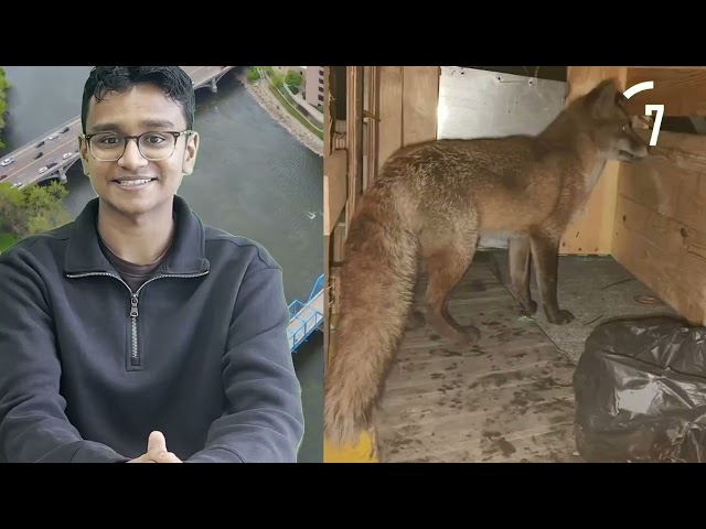 S4 Episode 20 | The City Voice | Pegasi News Network