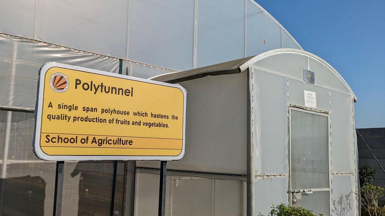 Protected Cultivation Of Vegetable Crops | HRT 413 | LOVELY PROFESSIONAL UNIVERSITY