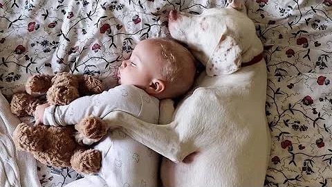 Rescue Puppy Can't Get Enough Snuggles From Baby B...
