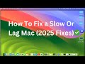 How To Fix a Slow Or Lag Mac (2025 Fixes)