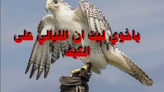 ياخوي ليت ان الليالي على الكيف/#شعر #قصيد #شعر_حزين