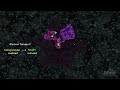 Understanding the Citric Acid Cycle