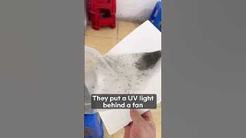 Homemade Mosquito Trap That Actually Works!