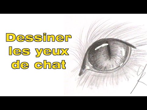 Vidéo: Comment Dessiner Des Yeux De Chaton