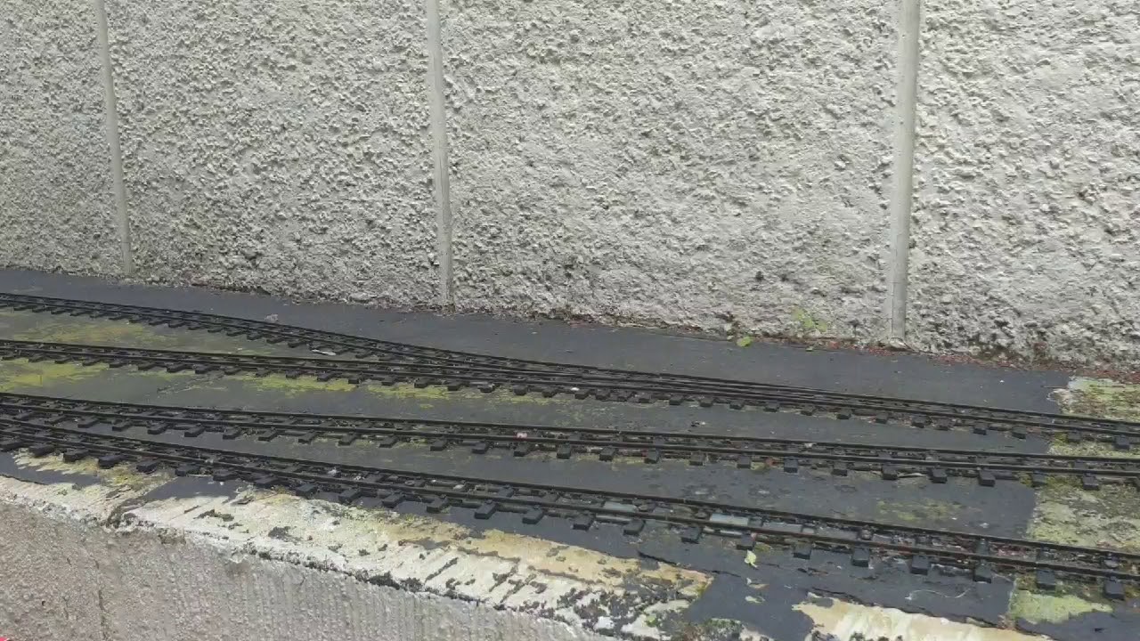 Regner Lumberjack on the P&DLR