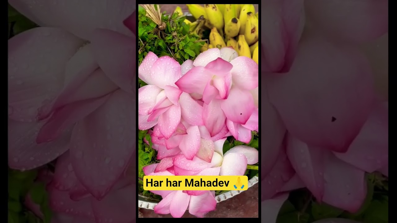 Har har Mahadev 🙏 #ytshorts #trending