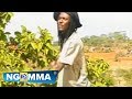 Ben Mbatha Kativui Mweene Niya Mbatha Official Video Ben Mbatha Kativui Mweene Niya Mbatha Official Video
