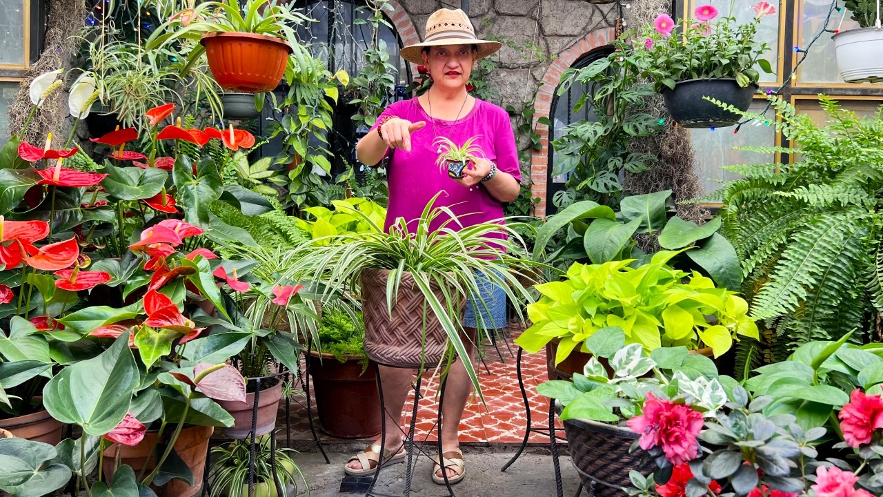 Se convirtió en un Tesoro, y quiero más!