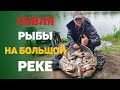 ловля рыбы на реке