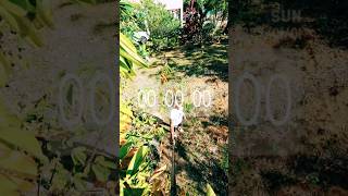 ✨️Beauty within us #seychelles #seychellesisland #storywithani #tamil #vlog