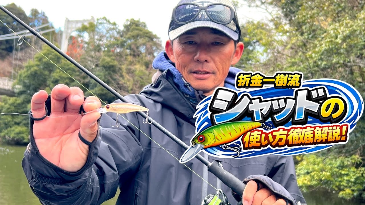 オリキン直伝！シャッドの使い方を徹底的に解説します！