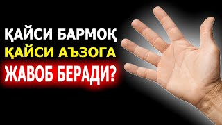 АГАР БУНИ БИЛСЕЗ СИЗГА ШИФОКОР ХАМ КЕРАК БЎЛМАЙДИ! КАФТДАГИ СИРЛИ НУҚТАЛАР КАЕРДА ЖОЙЛАШГАН?